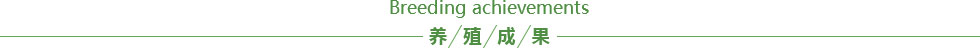 养植成果