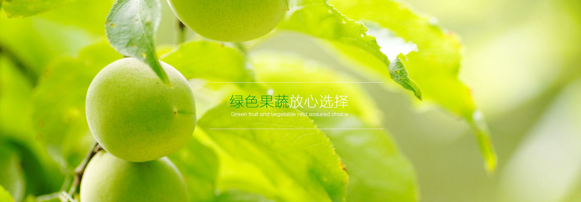 幻灯1