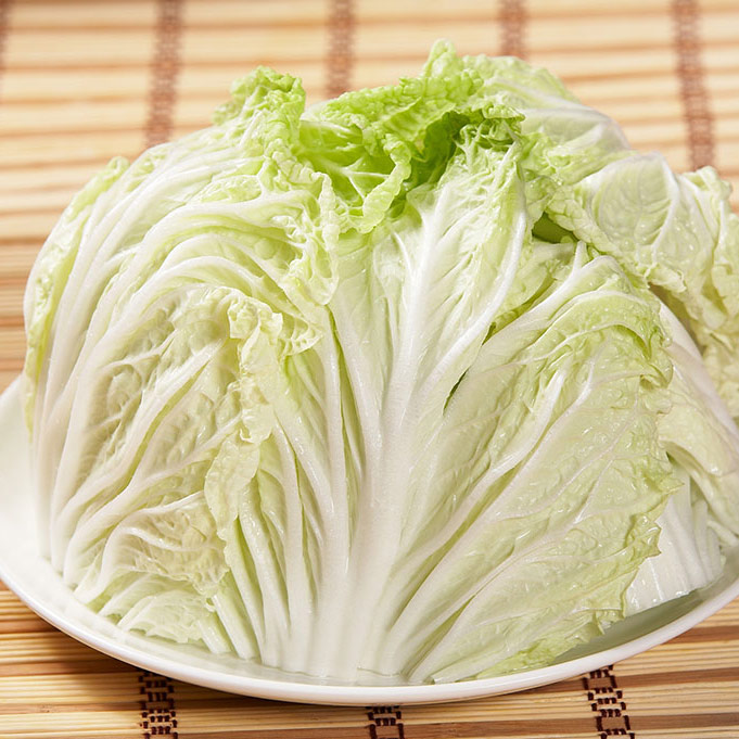 新疆大白菜