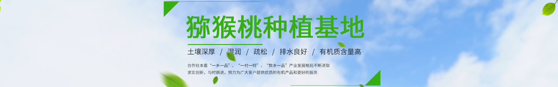 （带手机版数据同步）蔬菜果蔬鲜果配送类网站织梦模板 水果蔬菜网站源码下载